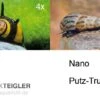 Nano Putz-Truppe: 4x Geweihschnecke + 5x Turmdeckelschnecke 1 Nano Putz-Truppe: 4x Geweihschnecke + 5x Turmdeckelschnecke -AQUATLATI Geschaft Nano Putz Truppe 4 x Geweihschnecke 5 x Turmdeckelschnecke