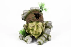 Aquatlantis Ruine Indigen