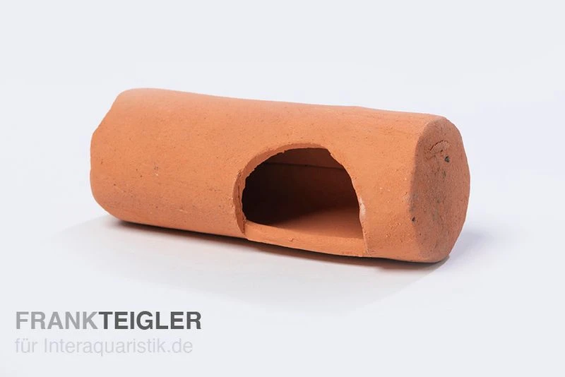 Aquariumkeramik Seiteneingangshöhle Wels Mega Terrakotta 3 Aquariumkeramik Seiteneingangshöhle Wels Mega Terrakotta