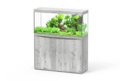 Aquatlantis Splendid 240 Esche Weiß Kombi, 120x40 Cm