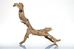 Aquadeco Talawa Holz, 30-45 Cm