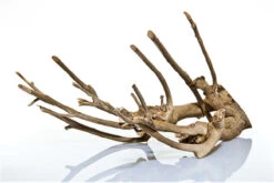 Aquadeco Talawa Holz, 30-45 Cm 7 Aquadeco Talawa Holz, 30-45 Cm -AQUATLATI Geschaft Talawa Holz 3