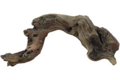 Variogart Wurzel Lang, 27,5 X 13,5 X 12 Cm