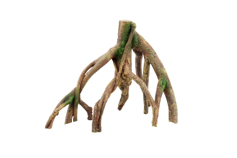 Aquatlantis Wurzel Mango 1 3 Aquatlantis Wurzel Mango 1