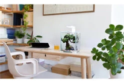 Aquael Shrimp Set Day&Night, 30 Liter Weiss 10 Aquael Shrimp Set Day&Night, 30 Liter Weiss -AQUATLATI Geschaft shrimp set day night 2