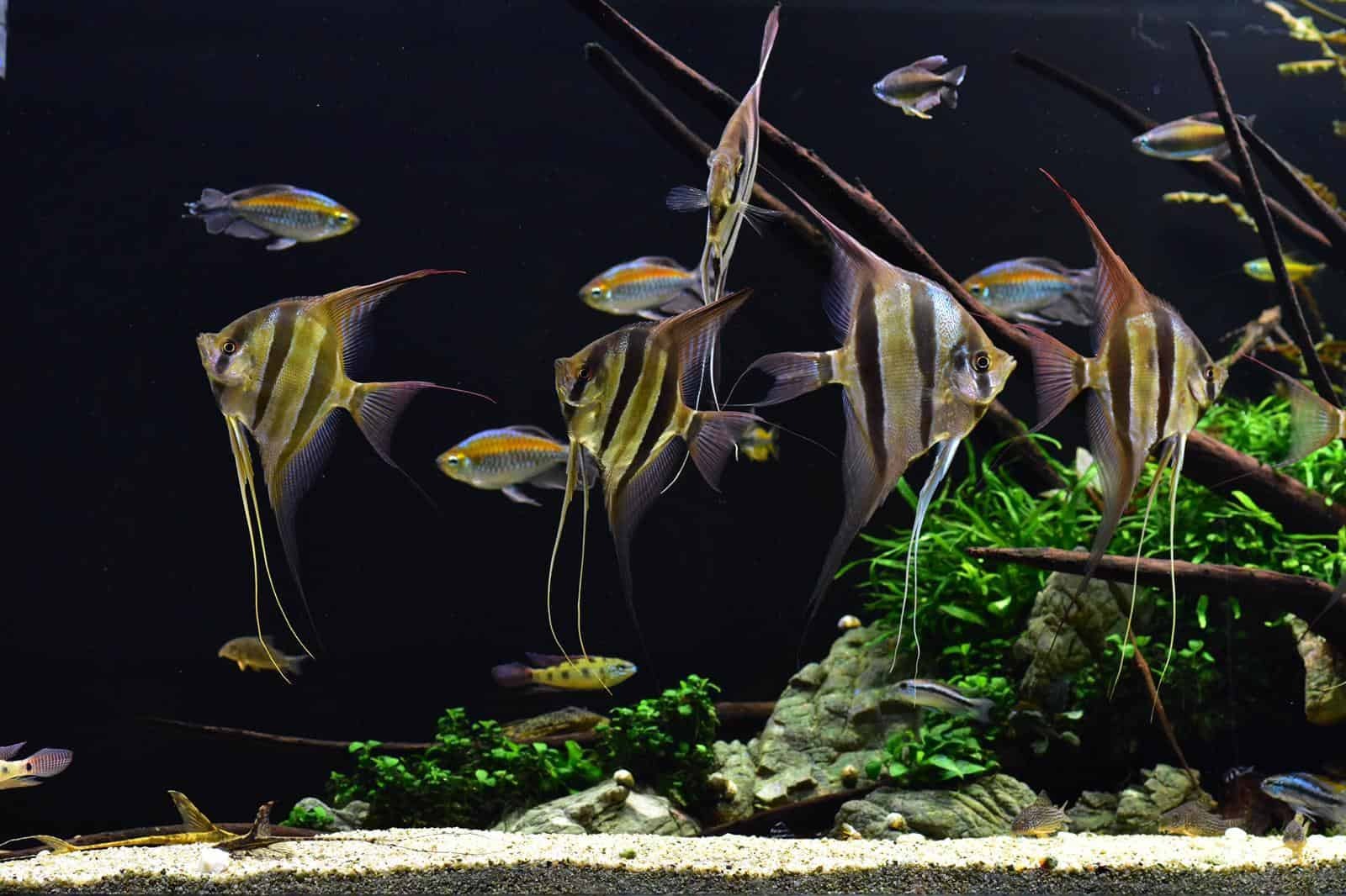 AQUATLATI Geschaft 3 AQUATLATI Geschaft -AQUATLATI Geschaft IMG 20201221 WA0002